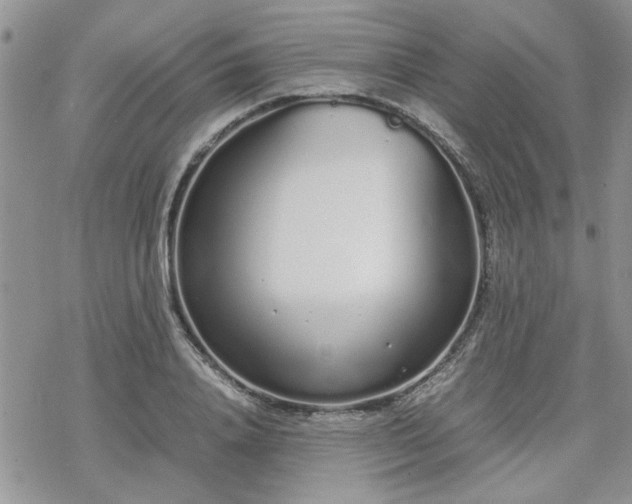 X0000070380840200606121251