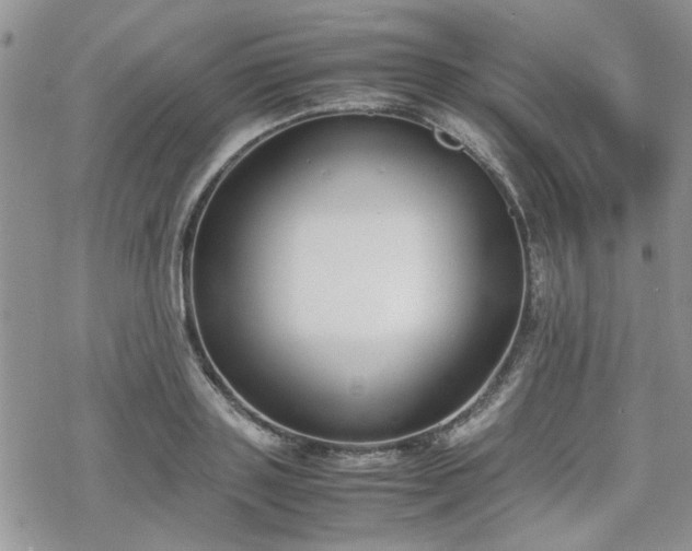 X0000070380843200606121251