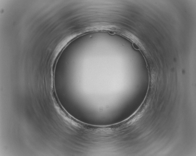 X0000070380844200606121251