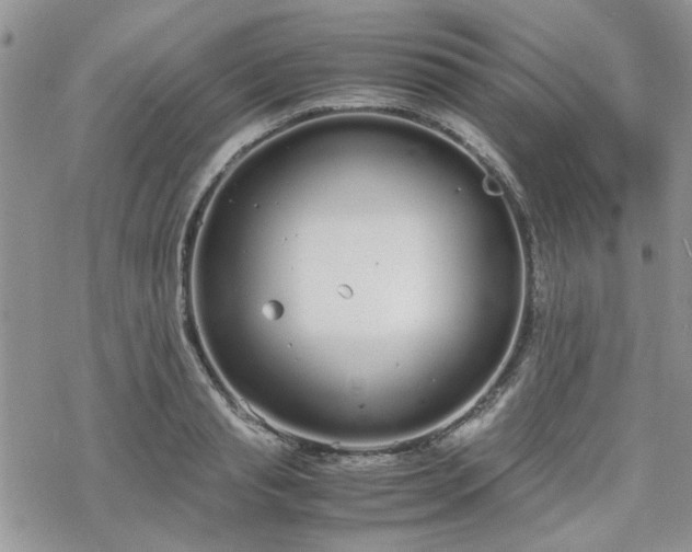 X0000070380845200606121251