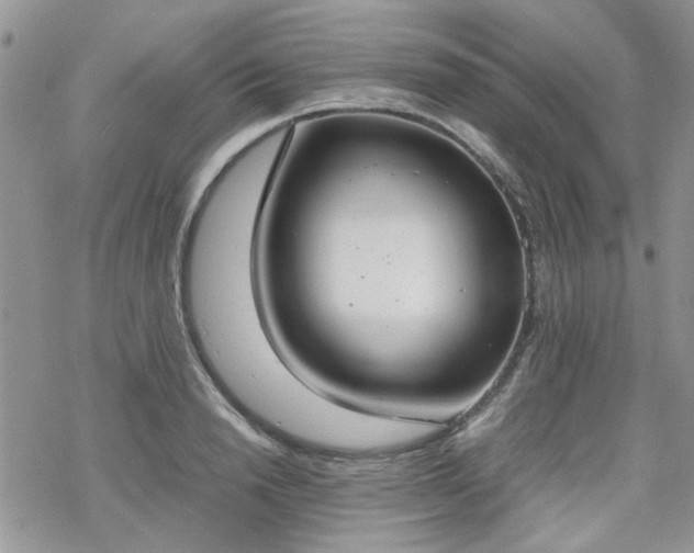 X0000070380846200606121251