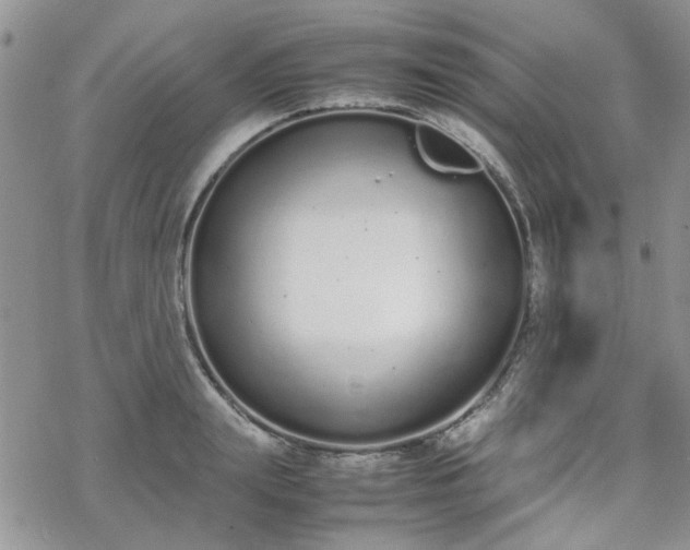 X0000070380847200606121251