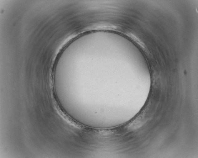 X0000070380848200606121251