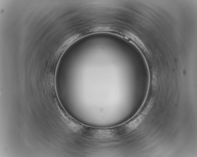 X0000070380849200606121251