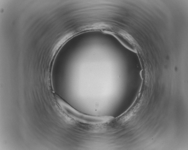 X0000070380850200606121251