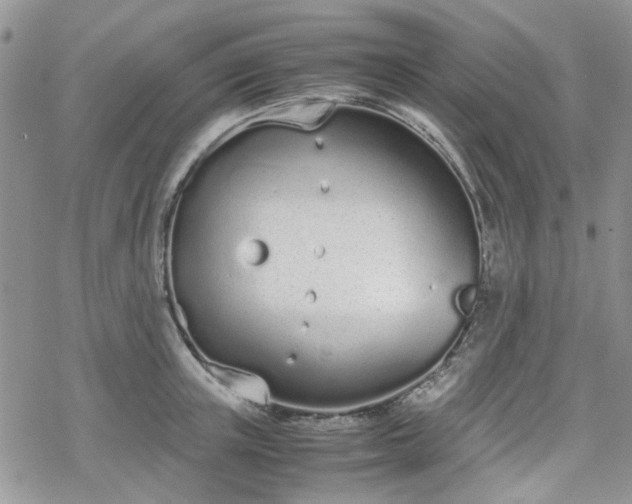 X0000070380851200606121251