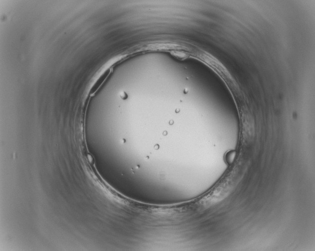 X0000070380852200606121251