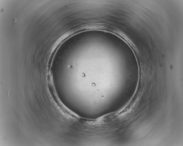 X0000070380853200606121251