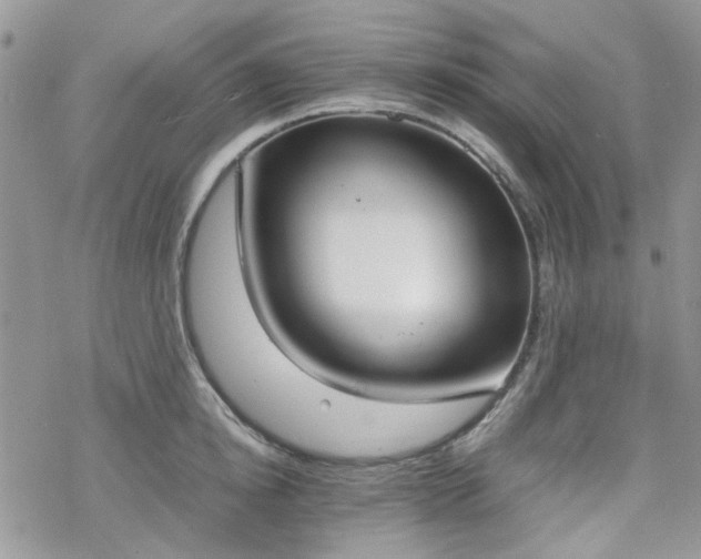 X0000070380854200606121251