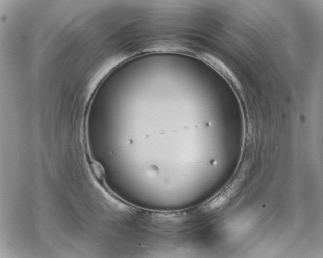 X0000070380855200606121251