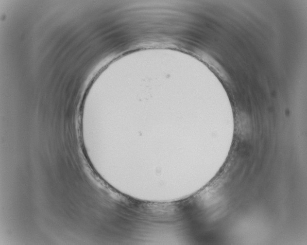 X0000070380856200606121251