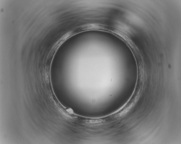 X0000070380857200606121251