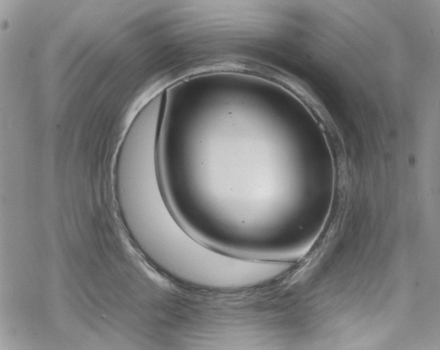 X0000070380858200606121251