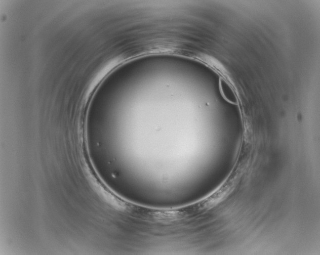 X0000070380859200606121251