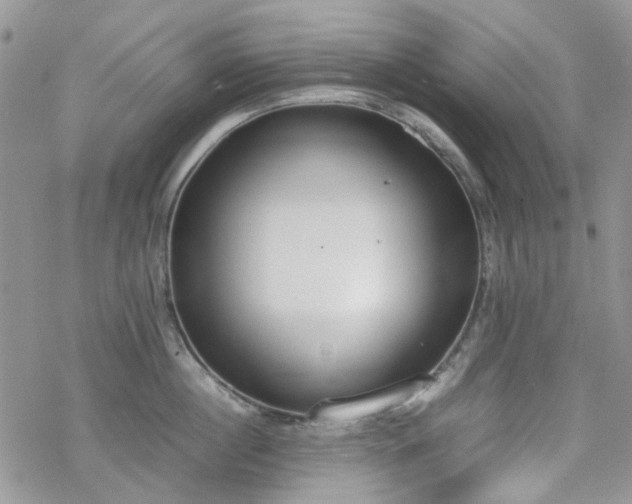 X0000070380860200606121251