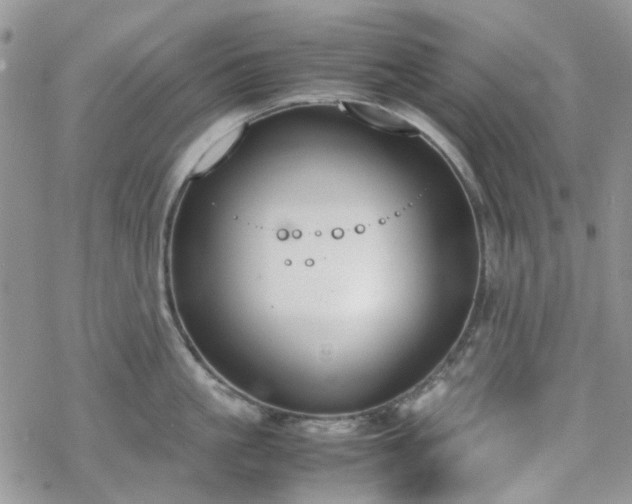 X0000070380861200606121251