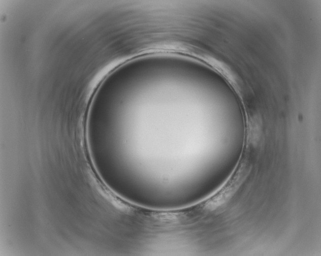 X0000070380862200606121251