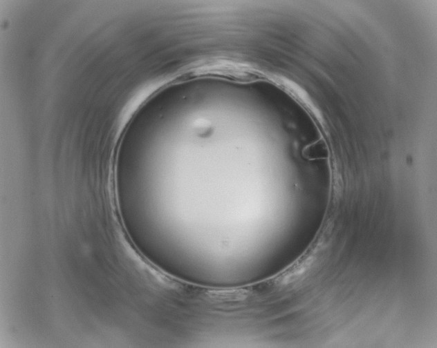 X0000070380863200606121251