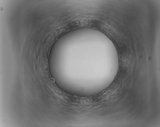 X0000070380865200606121250