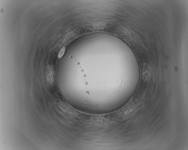 X0000070380866200606121250