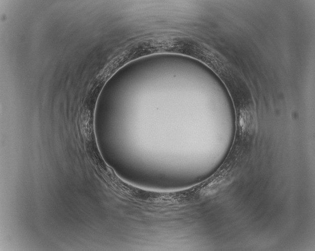 X0000070380867200606121250