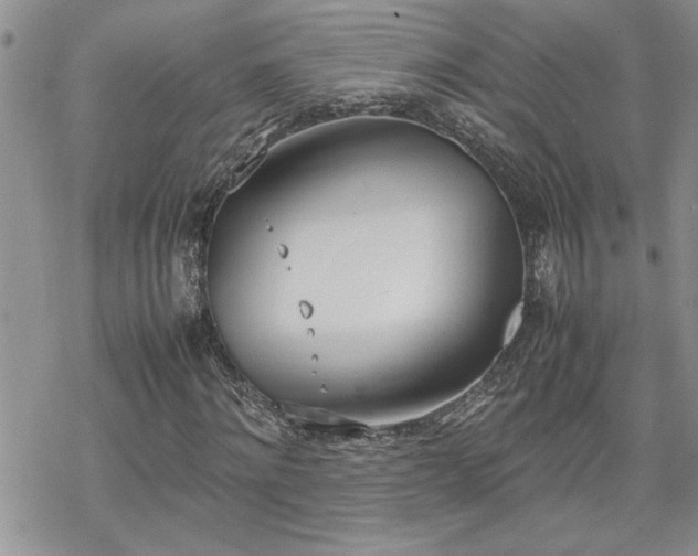 X0000070380868200606121250