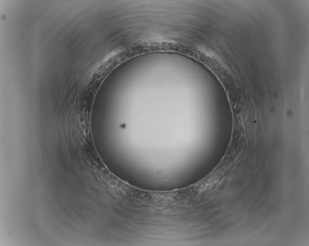 X0000070380870200606121250