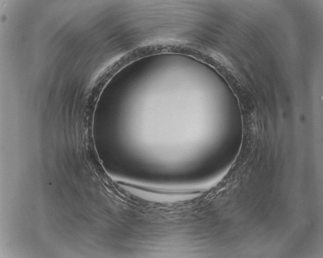 X0000070380872200606121250