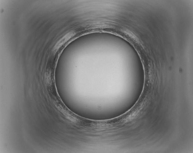 X0000070380873200606121250