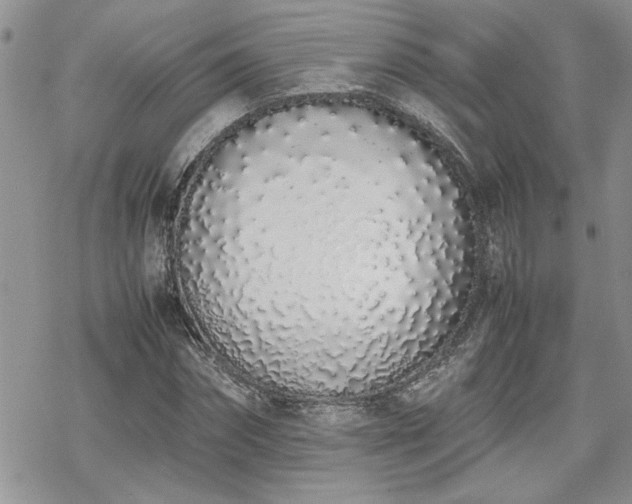 X0000070380874200606121250