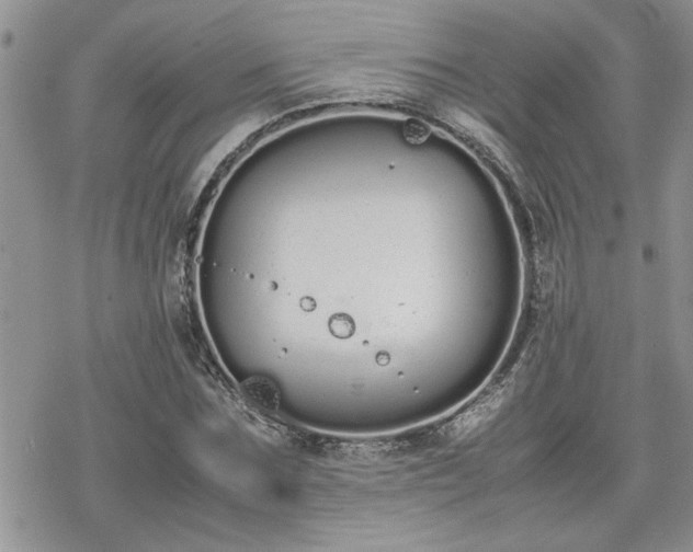 X0000070380875200606121250