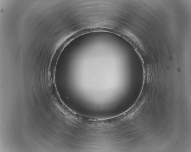 X0000070380876200606121250