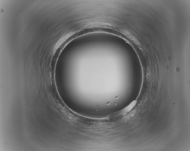 X0000070380877200606121250