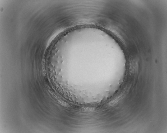 X0000070380878200606121250