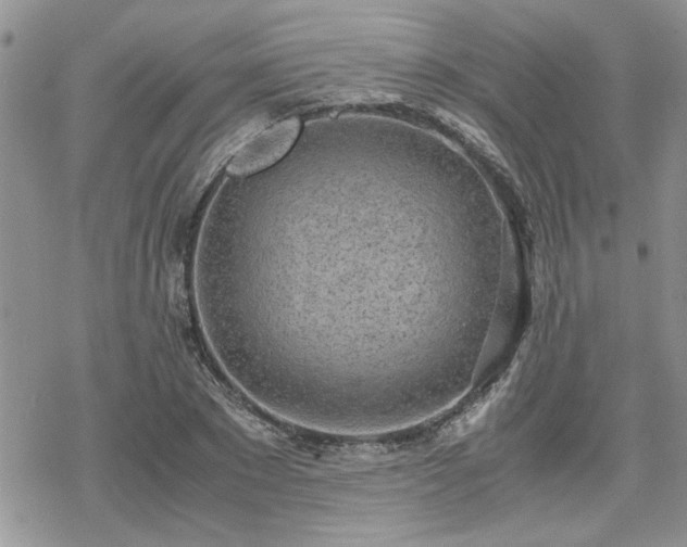 X0000070380881200606121250