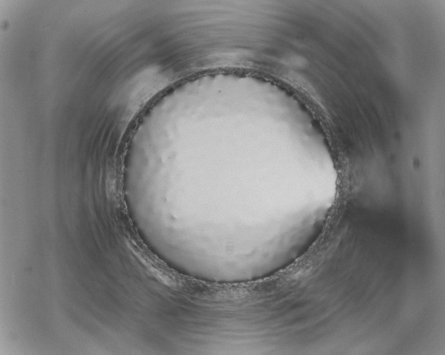 X0000070380882200606121250