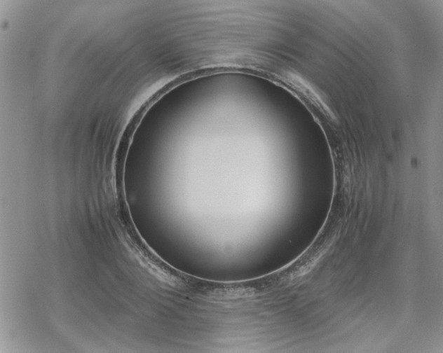 X0000070380884200606121250