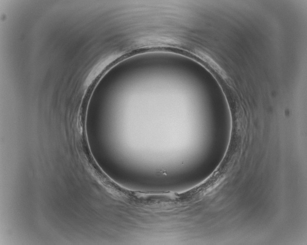 X0000070380885200606121250