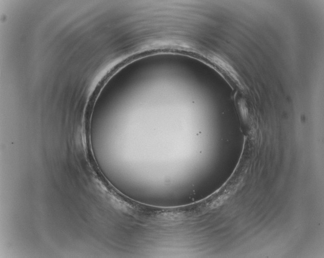 X0000070380888200606121250