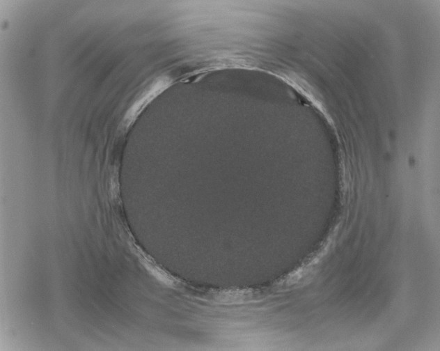 X0000070380889200606121250