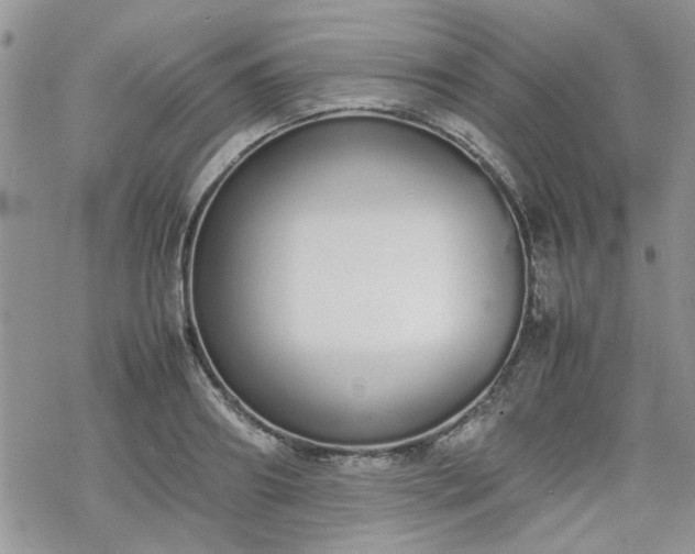 X0000070380890200606121250