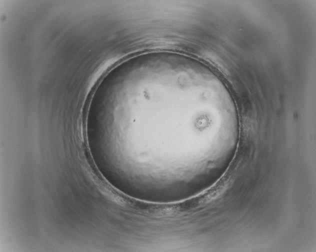 X0000070380891200606121250