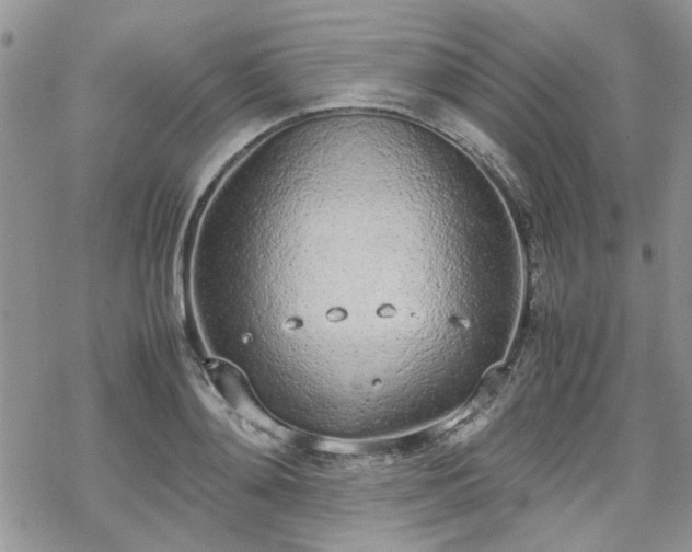 X0000070380892200606121250