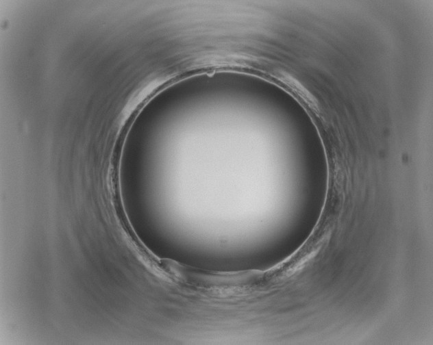 X0000070380893200606121250