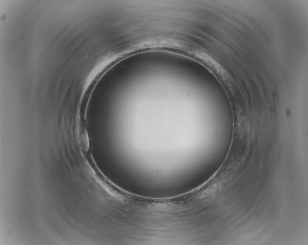 X0000070380894200606121250