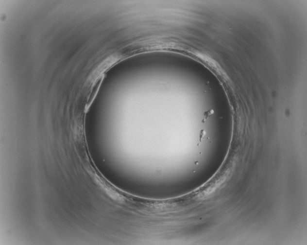 X0000070380897200606121250