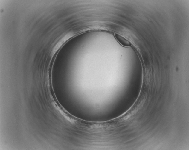 X0000070380898200606121250