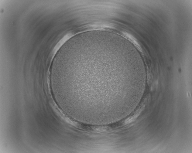 X0000070380899200606121250