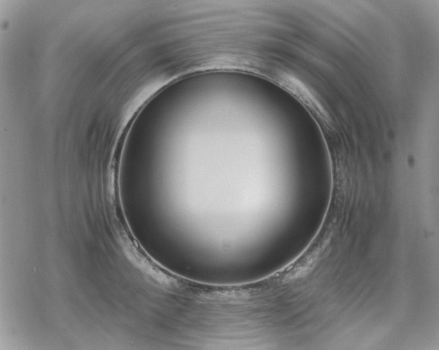 X0000070380900200606121250