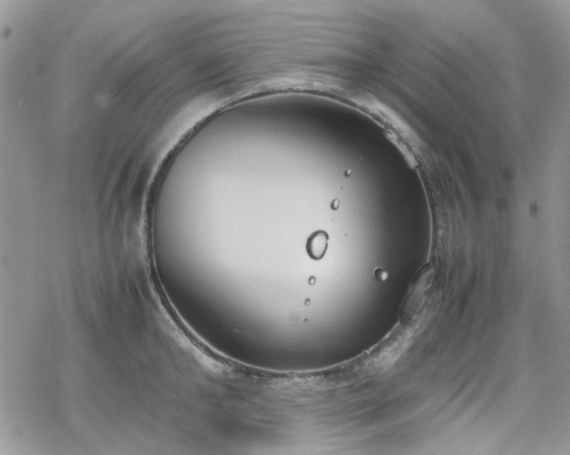 X0000070380902200606121250